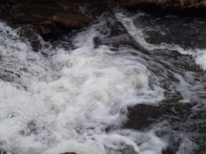 The Water Roars