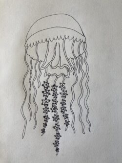 Jellyfish drawing