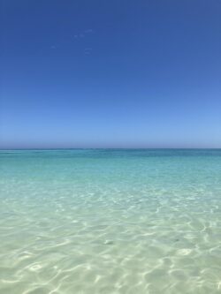 Photo of the clear glass water in Exmouth  