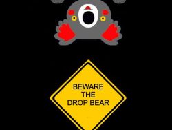 A very Aussie Book-  Beware the Drop Bear.  Simon P Clayson and E L Clayson