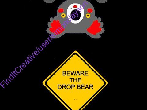 A very Aussie Book-  Beware the Drop Bear.  Simon P Clayson and E L Clayson